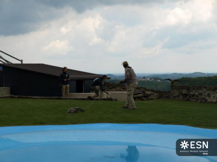 20170514174115-93e56043