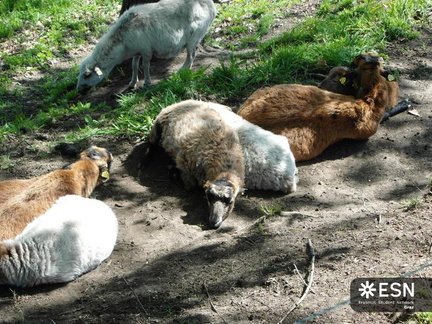 20160428013511-6893f006