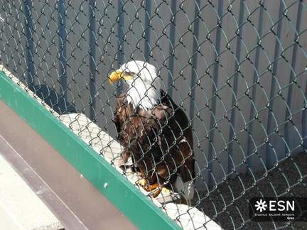 20160428022323-86d89448