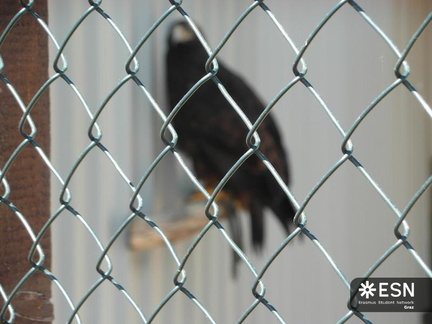 20160428022345-9cd8191d