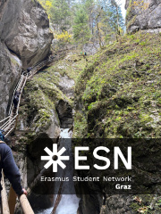 WhatsApp Image 2025-10-24 at 15.50.38