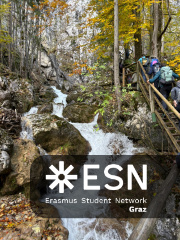 WhatsApp Image 2025-10-24 at 15.50.41