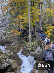 WhatsApp Image 2025-10-24 at 20.00.20 (1)