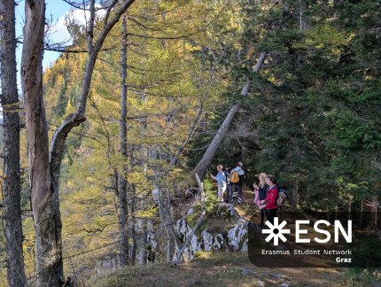 WhatsApp Image 2025-10-24 at 20.00.22