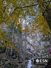 WhatsApp Image 2025-10-24 at 20.00.21