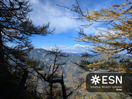 WhatsApp Image 2025-10-24 at 20.00.23