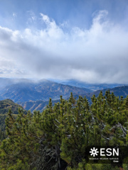 WhatsApp Image 2025-10-24 at 20.00.25 (2)