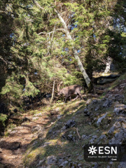 WhatsApp Image 2025-10-24 at 20.00.26