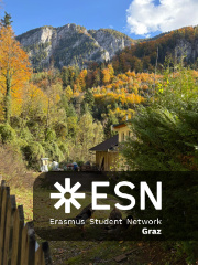 WhatsApp Image 2025-10-24 at 15.50.31 (1)