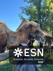 WhatsApp Image 2025-10-25 at 11.52.41 (4)