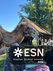 WhatsApp Image 2025-10-25 at 11.52.41 (3)