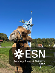 WhatsApp Image 2025-10-25 at 11.52.41 (8)