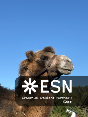 WhatsApp Image 2025-10-25 at 11.52.09 (3)