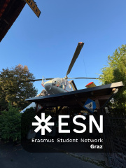 WhatsApp Image 2025-10-25 at 11.52.09