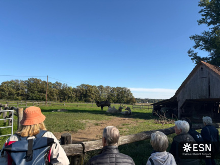 WhatsApp Image 2025-10-25 at 11.52.10