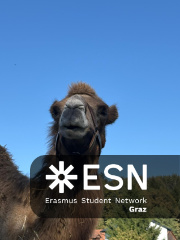 WhatsApp Image 2025-10-25 at 11.52.26 (2)