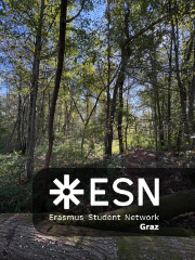 WhatsApp Image 2025-10-25 at 11.52.26