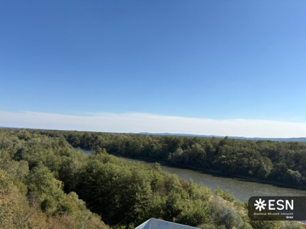 WhatsApp Image 2025-10-25 at 11.52.27 (1)