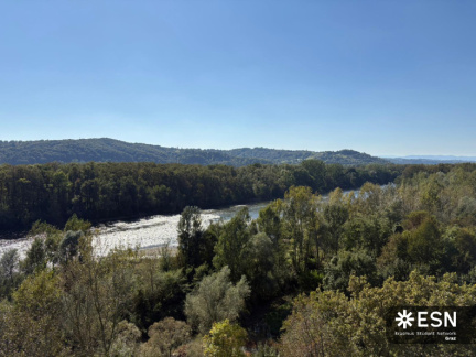 WhatsApp Image 2025-10-25 at 11.52.27 (3)