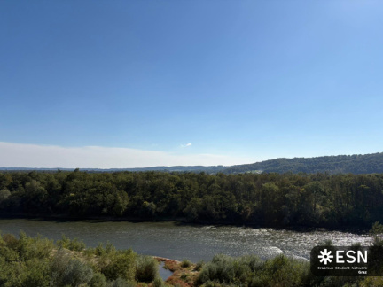 WhatsApp Image 2025-10-25 at 11.52.27 (5)