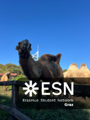 WhatsApp Image 2025-10-25 at 11.52.27 (7)