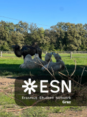 WhatsApp Image 2025-10-25 at 11.52.27 (9)