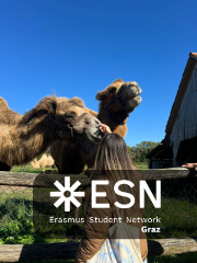 WhatsApp Image 2025-10-25 at 11.52.27 (10)