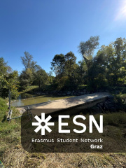 WhatsApp Image 2025-10-25 at 11.52.27