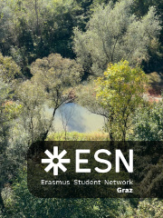 WhatsApp Image 2025-10-25 at 11.52.28 (4)