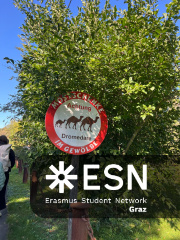 WhatsApp Image 2025-10-25 at 11.52.28