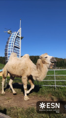 WhatsApp Image 2025-10-26 at 08.59.16 (1)