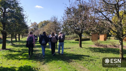 WhatsApp Image 2025-10-26 at 08.59.16 (2)