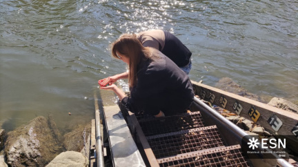 WhatsApp Image 2025-10-26 at 08.59.18 (3)