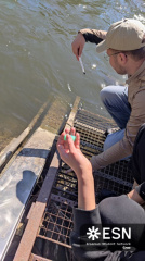 WhatsApp Image 2025-10-26 at 08.59.18 (2)