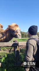 WhatsApp Image 2025-10-26 at 08.59.18 (4)