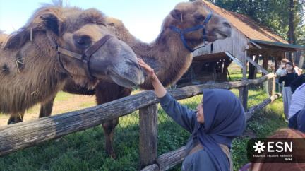 WhatsApp Image 2025-10-26 at 08.59.19 (1)