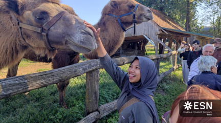 WhatsApp Image 2025-10-26 at 08.59.19 (2)