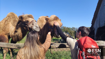 WhatsApp Image 2025-10-26 at 08.59.19 (4)