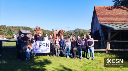 WhatsApp Image 2025-10-26 at 08.59.19