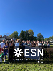 WhatsApp Image 2025-10-26 at 09.00.06 (4)