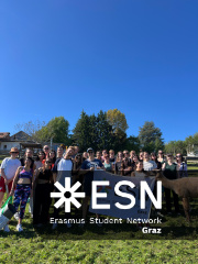 WhatsApp Image 2025-10-26 at 09.00.06 (5)