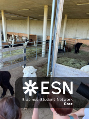 WhatsApp Image 2025-10-26 at 09.00.06