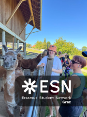 WhatsApp Image 2025-10-26 at 09.00.07 (1)