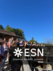 WhatsApp Image 2025-10-26 at 09.00.07 (2)