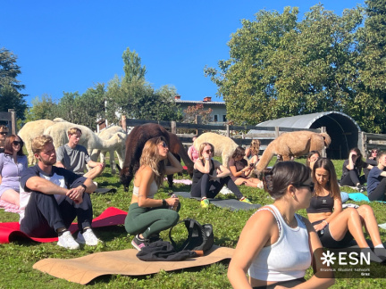 WhatsApp Image 2025-10-26 at 09.00.07 (3)