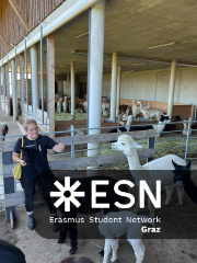 WhatsApp Image 2025-10-26 at 09.00.07 (4)