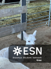 WhatsApp Image 2025-10-26 at 09.00.07 (5)