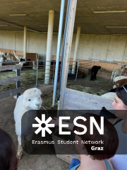 WhatsApp Image 2025-10-26 at 09.00.07