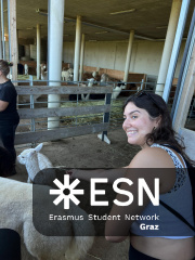 WhatsApp Image 2025-10-26 at 08.59.56