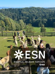 WhatsApp Image 2025-10-26 at 08.59.57